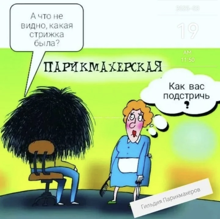 Здесь нет идеальных волос. Но есть живые люди, честные эмоции и юмора.