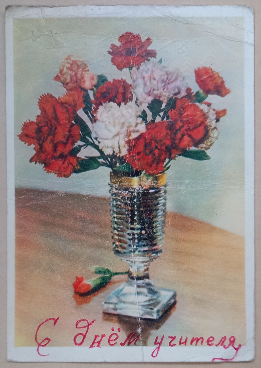 1955 г.. Гвоздика. Цветное фото И. Шагина. Издательство "Правда". Тираж 500 000 экз.. Из коллекции автора.