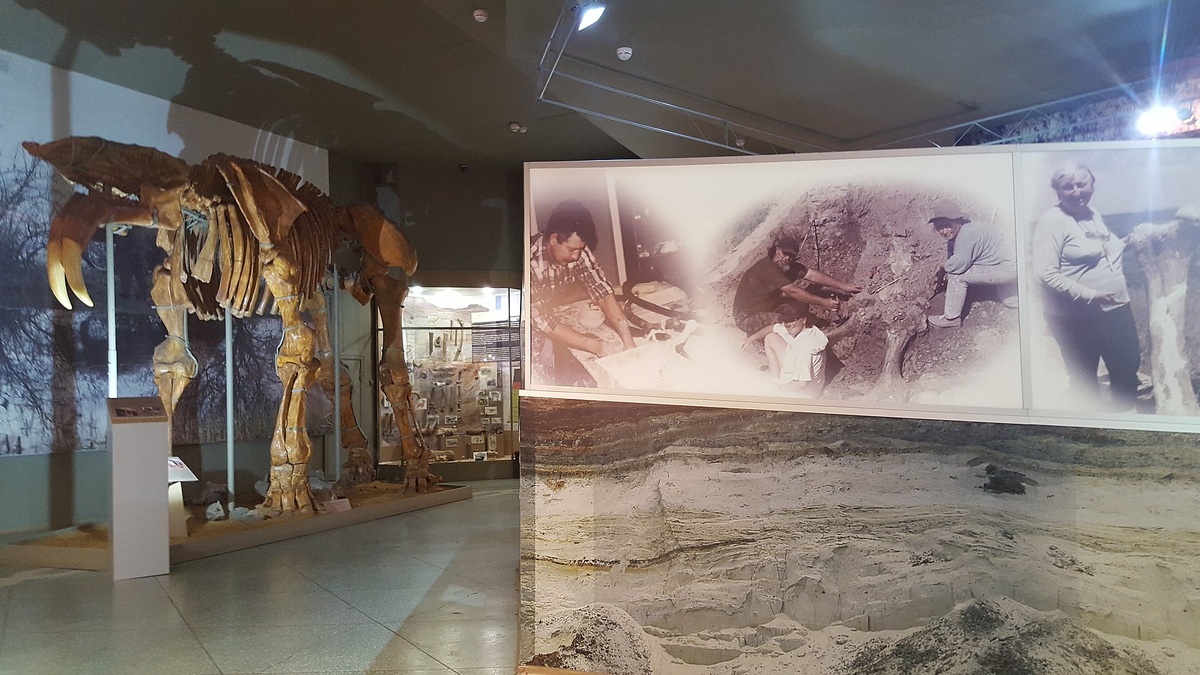 Источник: wikipedia.org Автор: Altes CC BY-SA 4.0