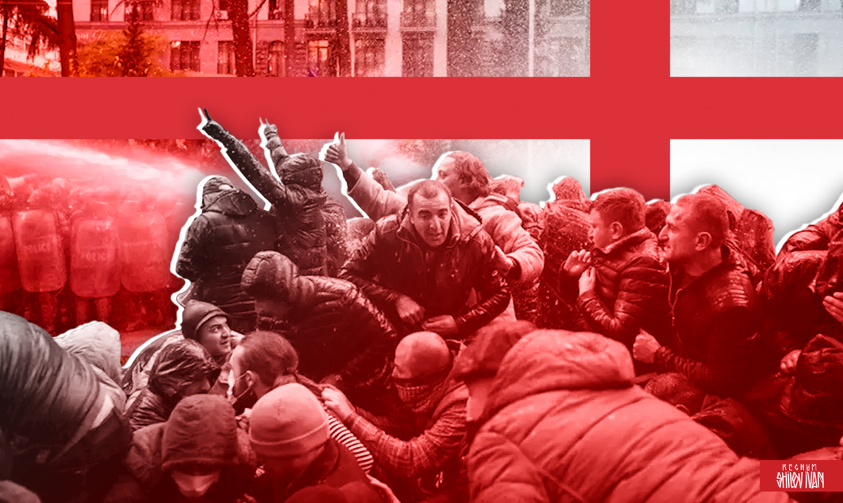    Протест в Грузии / Источник: Иван Шилов (с) ИА REGNUM
