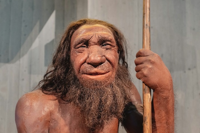 Фото восковой фигуры классического образа неандертальца