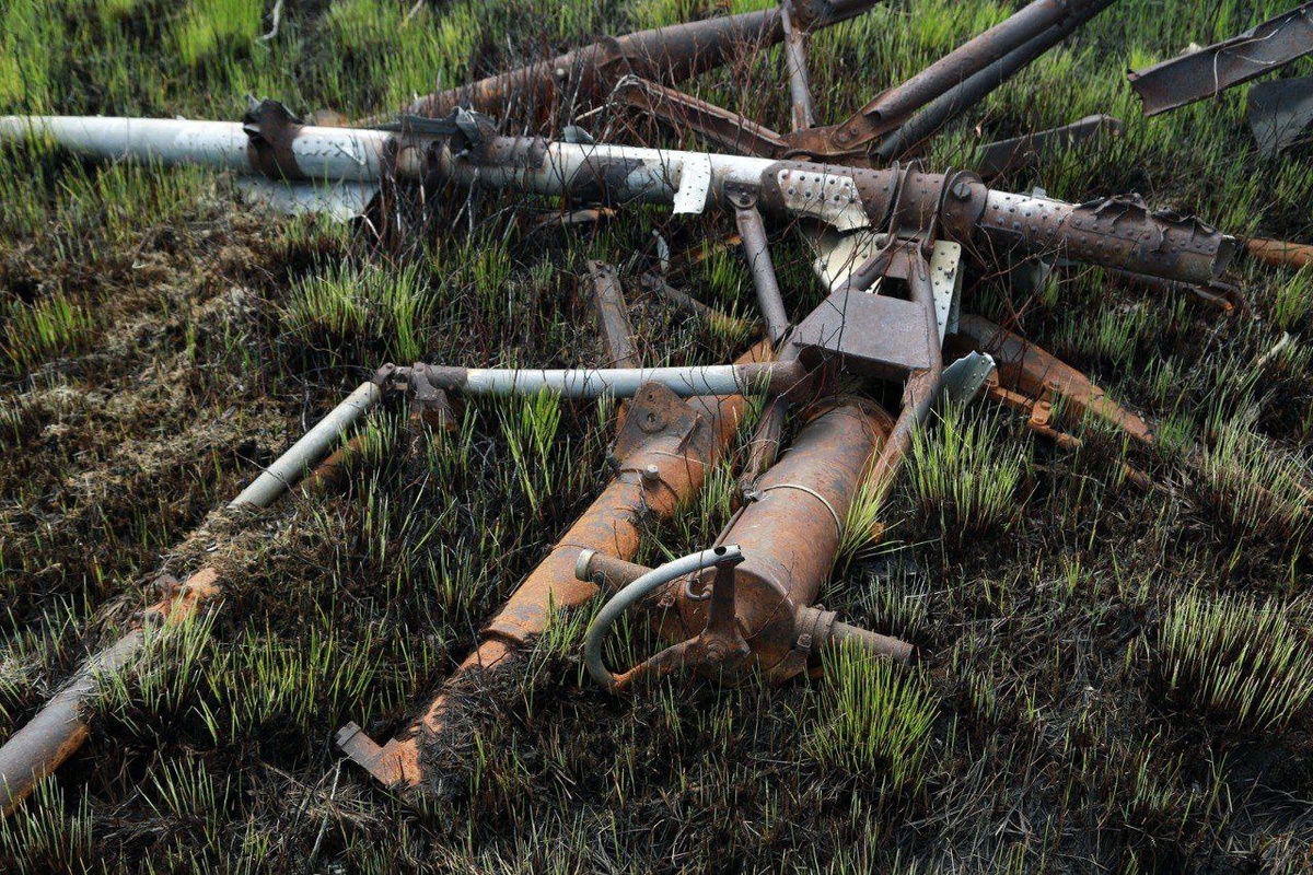 Фото  Виктора Решетникова, лидера движения "Планета Тайга".