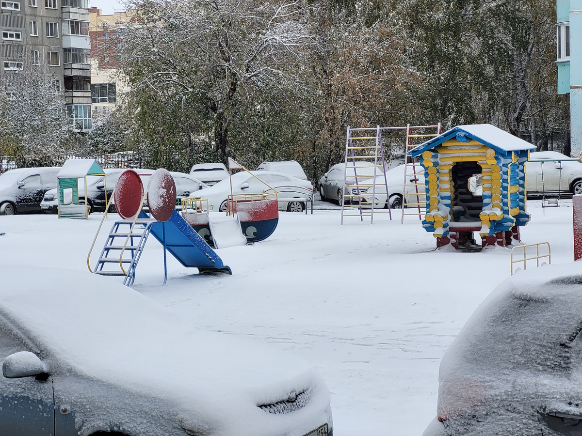 Первый снежок