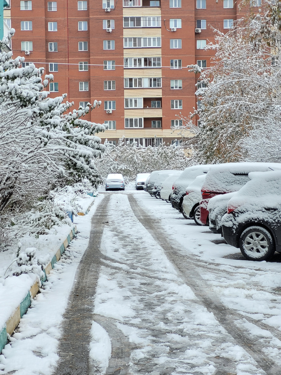 Деревья в инее