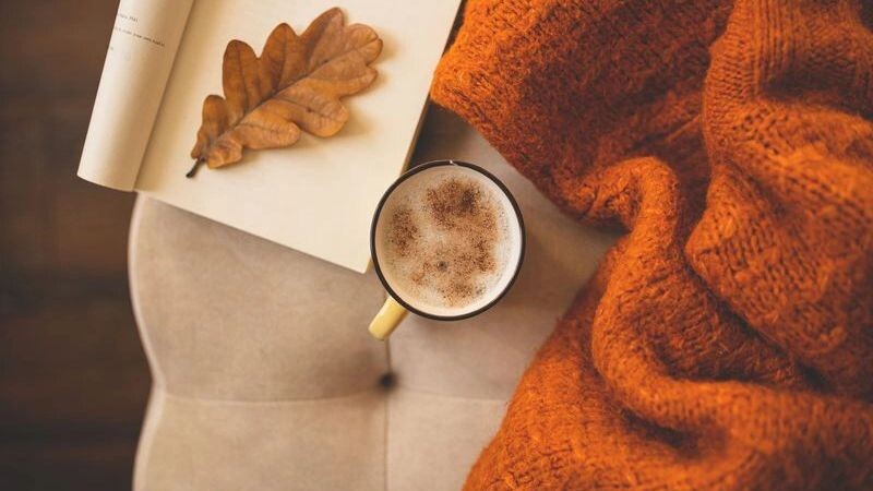    Фото: Ptashkimenko / Shutterstock / Fotodom