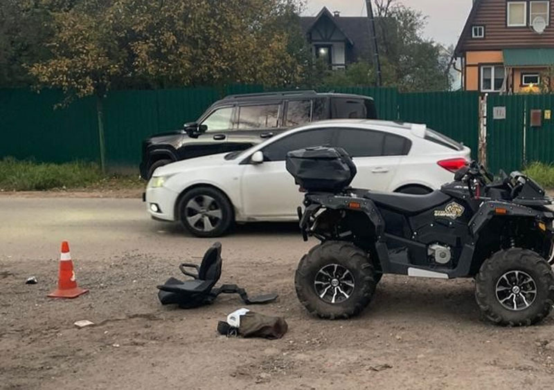     Фото: ГУ МВД России по Московской области