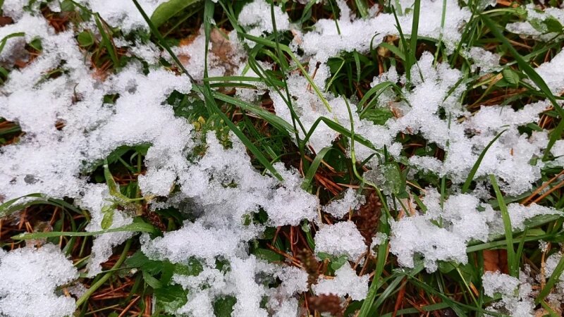     Снег 1 октября. Александр Целовальников