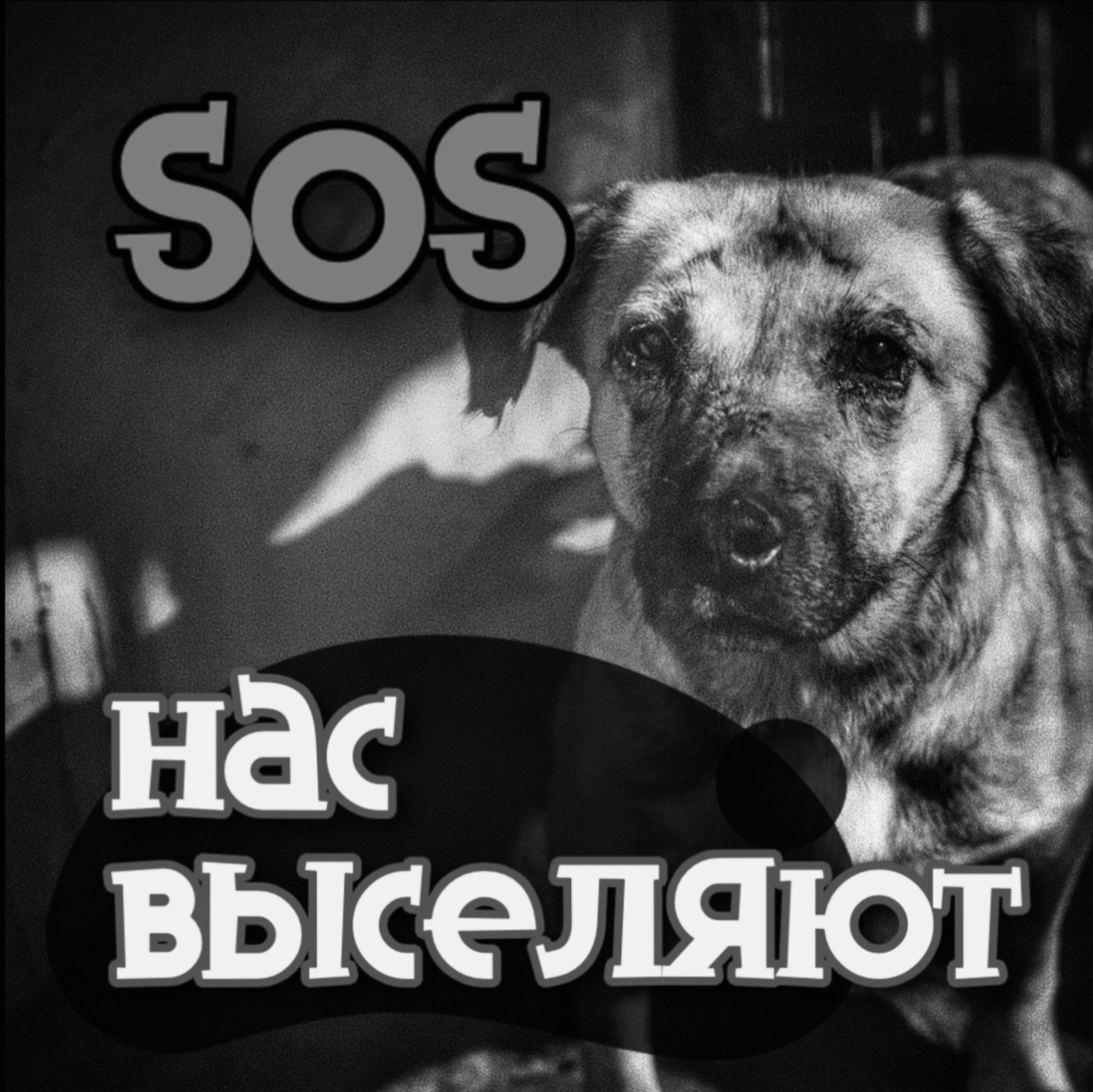 Хоспис все таки выселят, нам страшно! Не хватает 17 000 рублей...