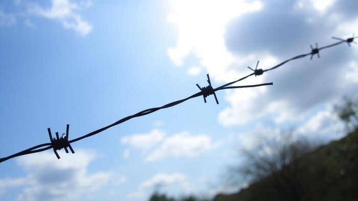    t.me/universus_neuro_bot