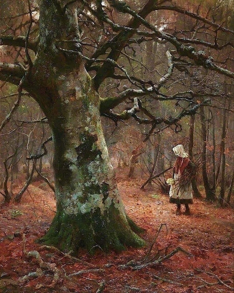 «Старый бук» (1910) — картина Уильяма Теулона Флетчера (1858–1936), холст, масло, 91,5×70,7 см, Художественная галерея Манчестера.