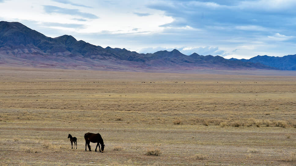 Фото: Влад Некрасов / Коммерсантъ