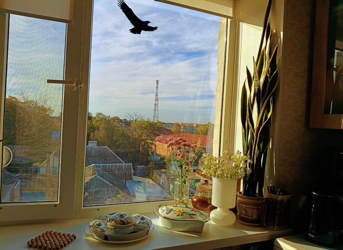 Вчерашний солнечный вечер