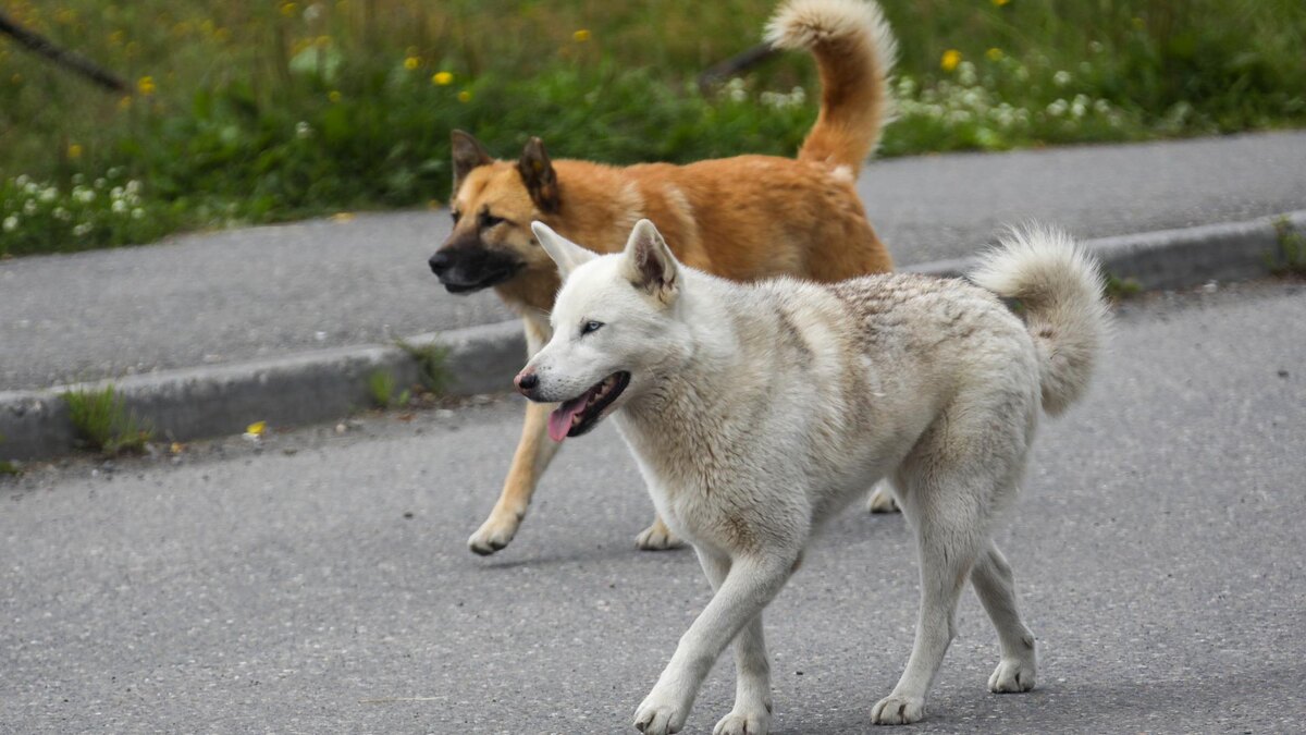    Фото: Pogiba Alexandra/globallookpress.com