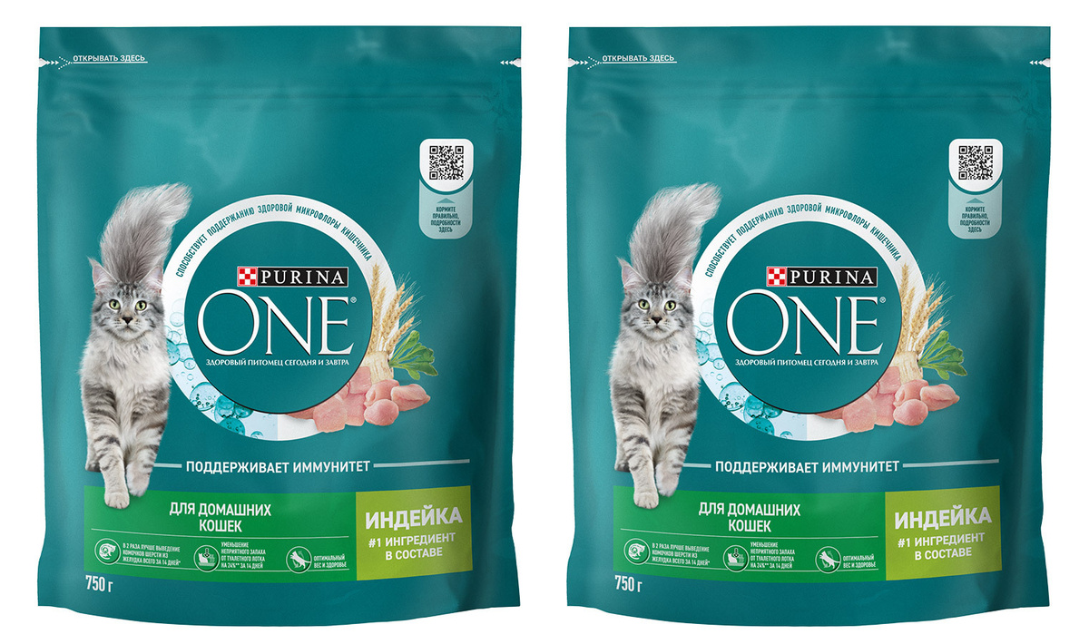 Сухие корма "Пурина Ван" популярны среди владельцев кошек благодаря удобству и пользе для зубов.