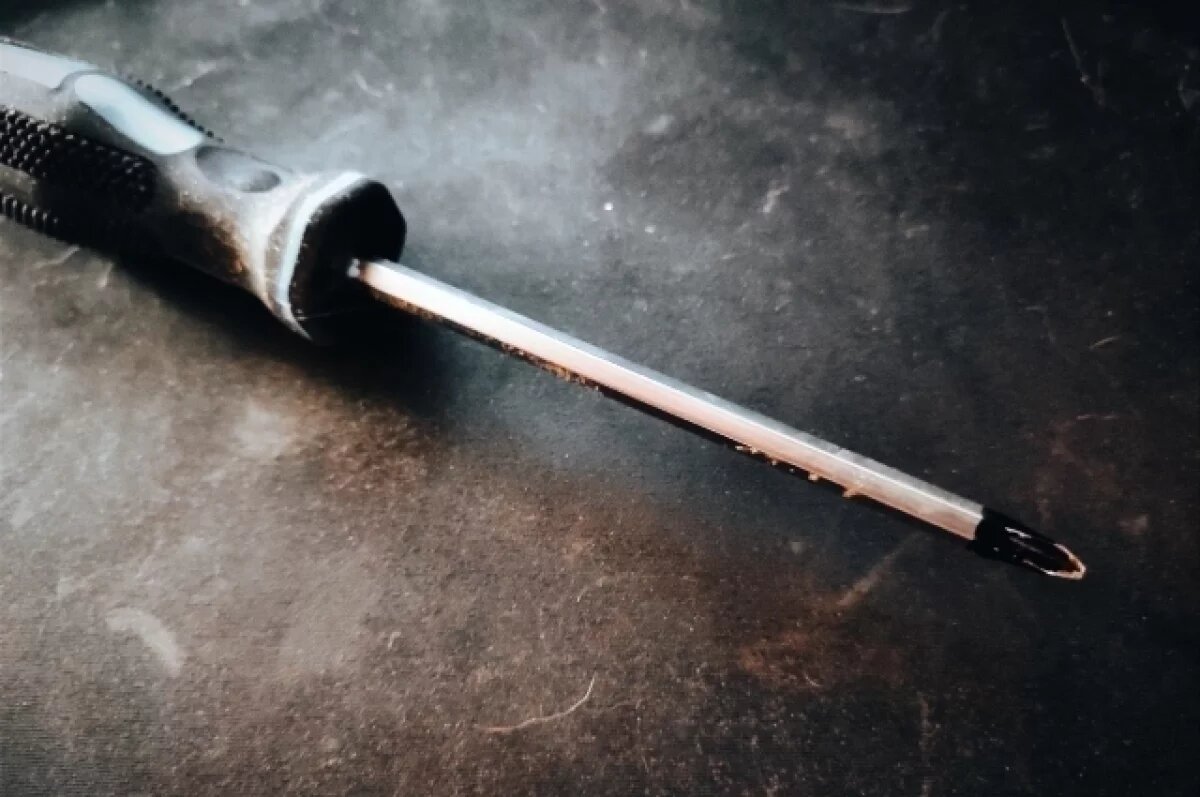    Суд вынес приговор хабаровчанке, замахнувшейся на пристава отвёрткой