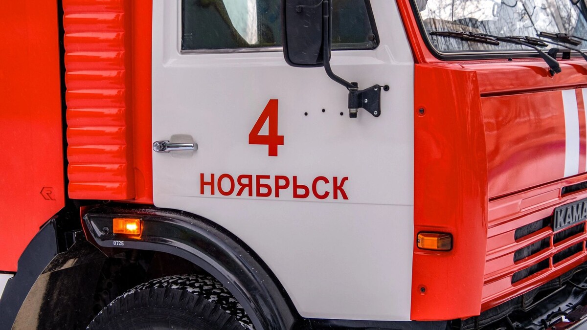    Фото: Юрий Здебский/«Ямал-Медиа»