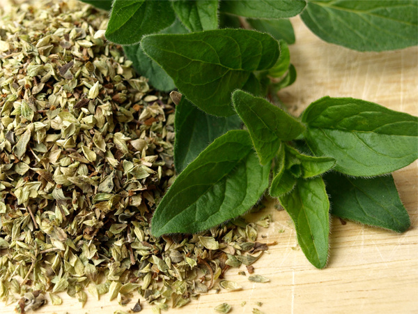 Майоран и всё о нём