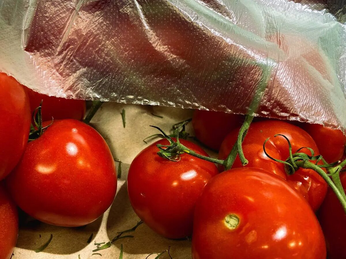    Фото: Мойка78