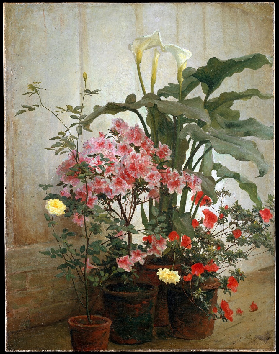 «Сторона оранжереи» — картина Джорджа Кокрана Лэмбина (1870–80-е), выполненная маслом на холсте (101,6×78,7 см). Отражает его увлечение ботаникой и стремление запечатлеть красоту природы.
