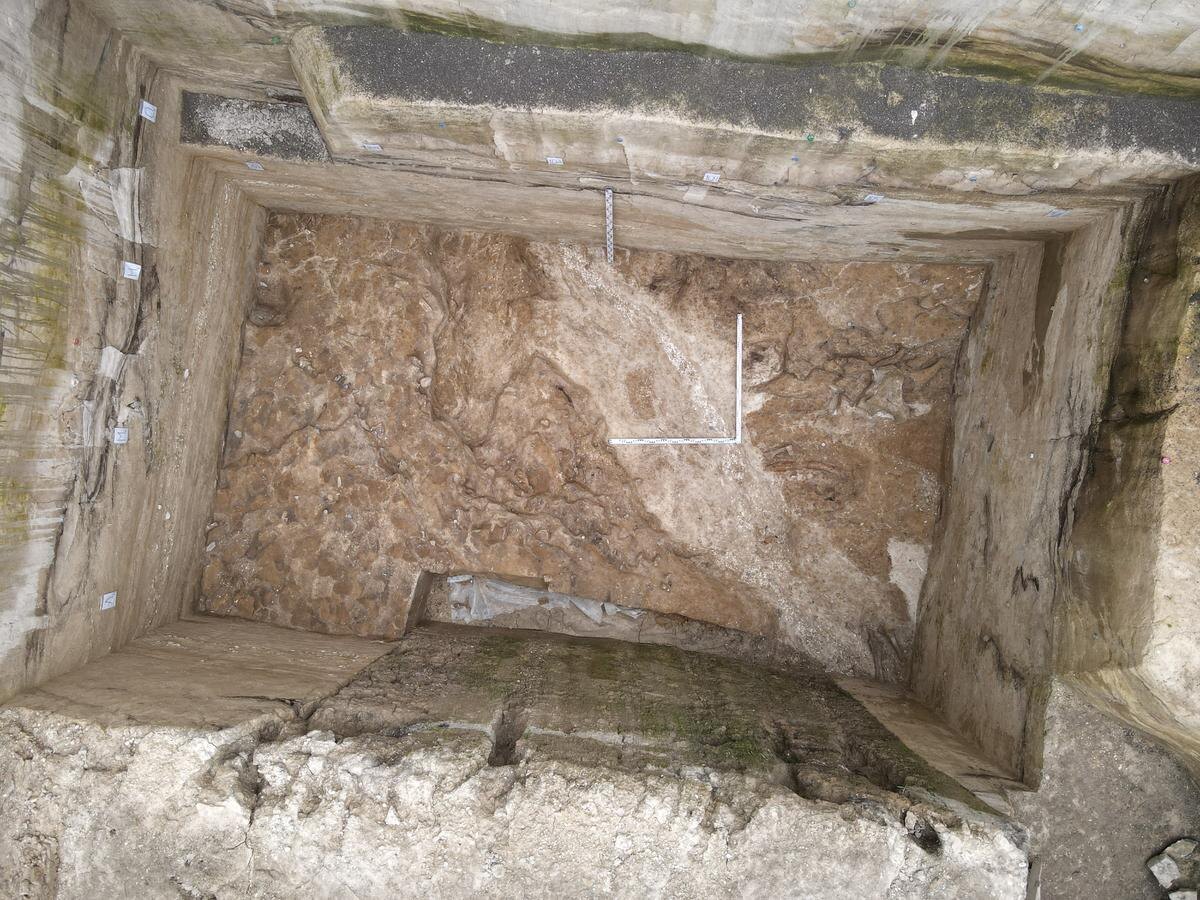 Источник: https://www.archeo.ru/institute/news/nukleus-iz-bivnya-mamonta-i-novaya-seriya-uk-323a5 