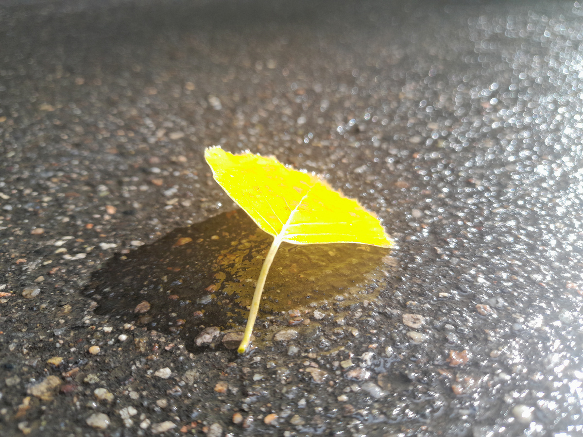 Наш разум подобен свету