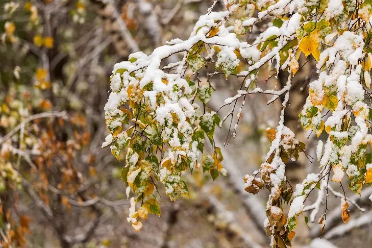    Фото Андрея Заржецкого и читателей VN.ru
