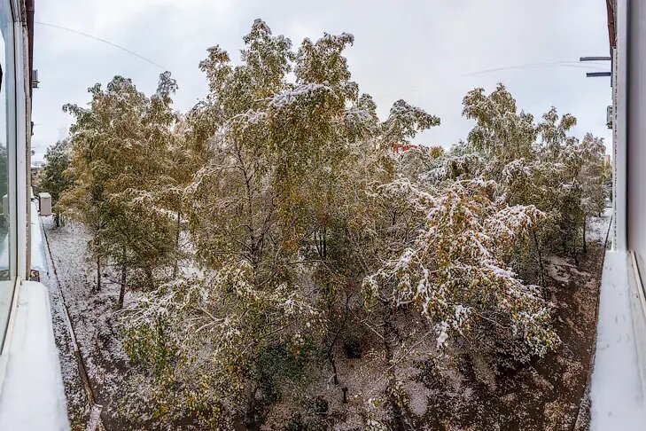 © Фото Андрея Заржецкого.📷
