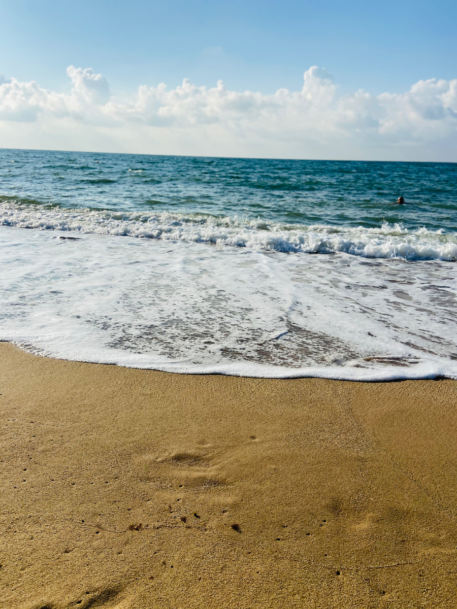 Фото из личного архива: море, пляж Вязовая роща в Орловке нелалеко от Севастополя