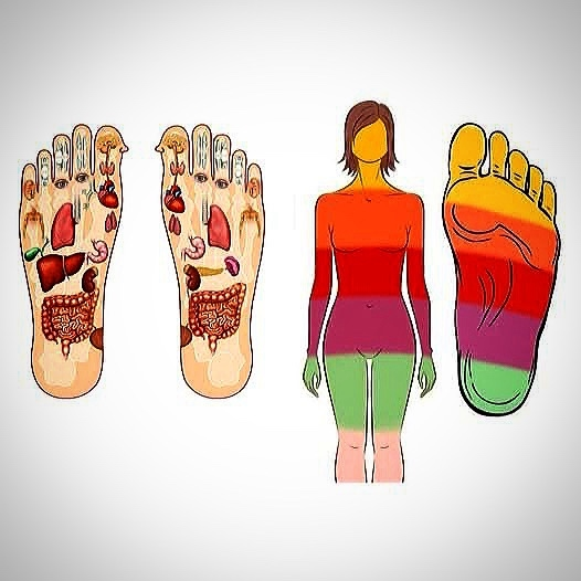 Стопы - основа здоровья