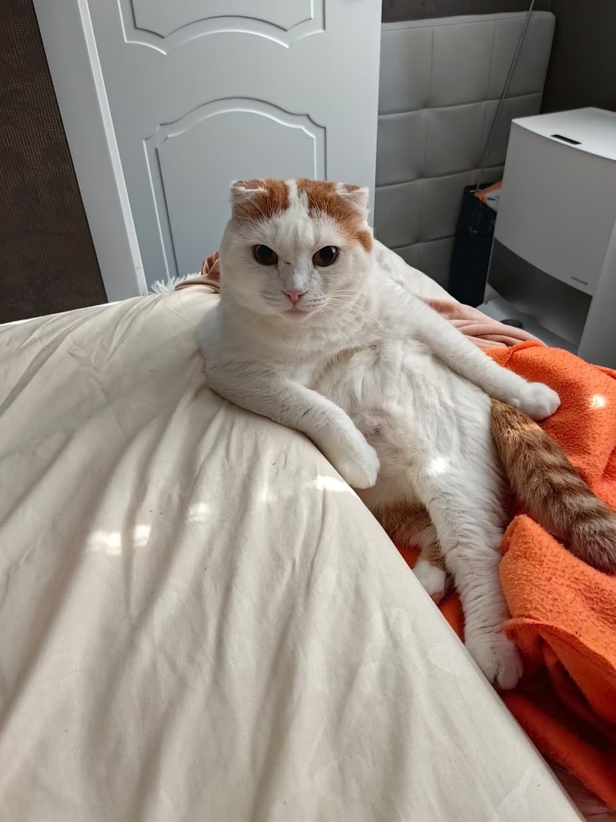 Джулиан передаёт всем вам, что у него всё просто отлично!