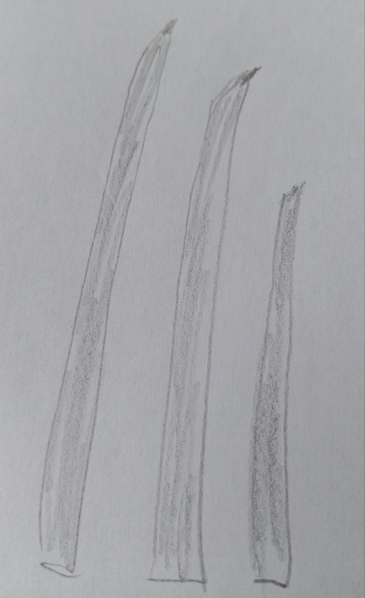 Рисунок мой