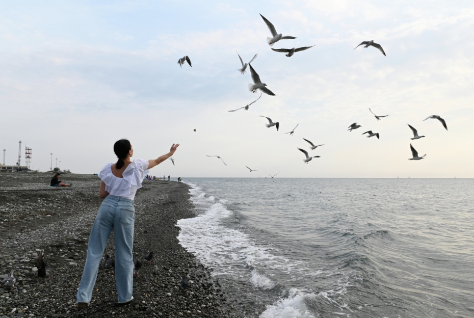    Артур Лебедев / РИА Новости