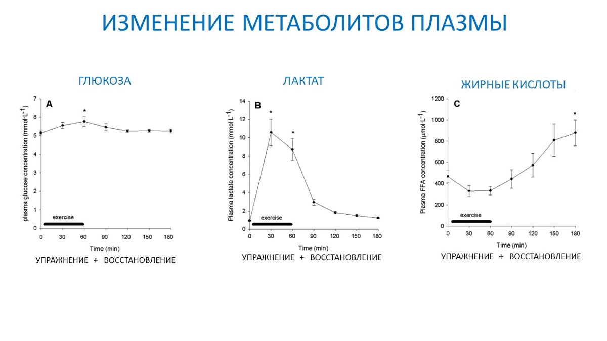 Рисунок 2. Изменение глюкозы, лактата и жирных кислот.