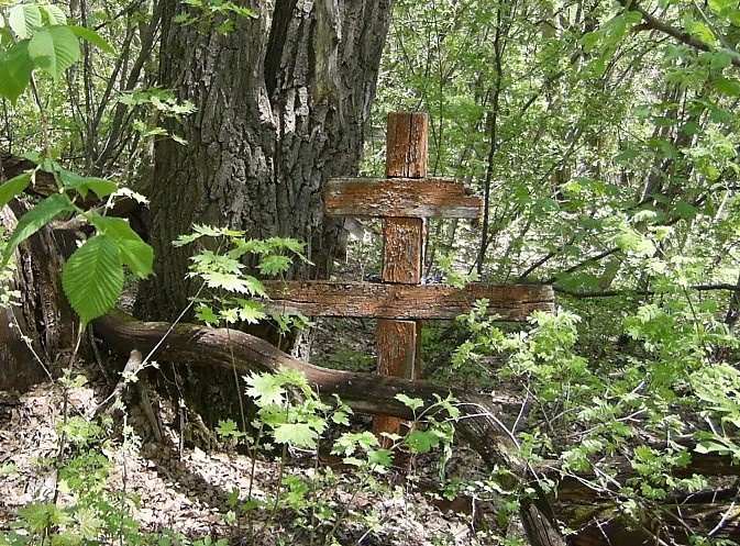 Крест на заброшенном кладбище близ Верхнего Павлушкино - символизирует ушедшие эпохи села, историю которых по крупицам приходится собирать потомкам.