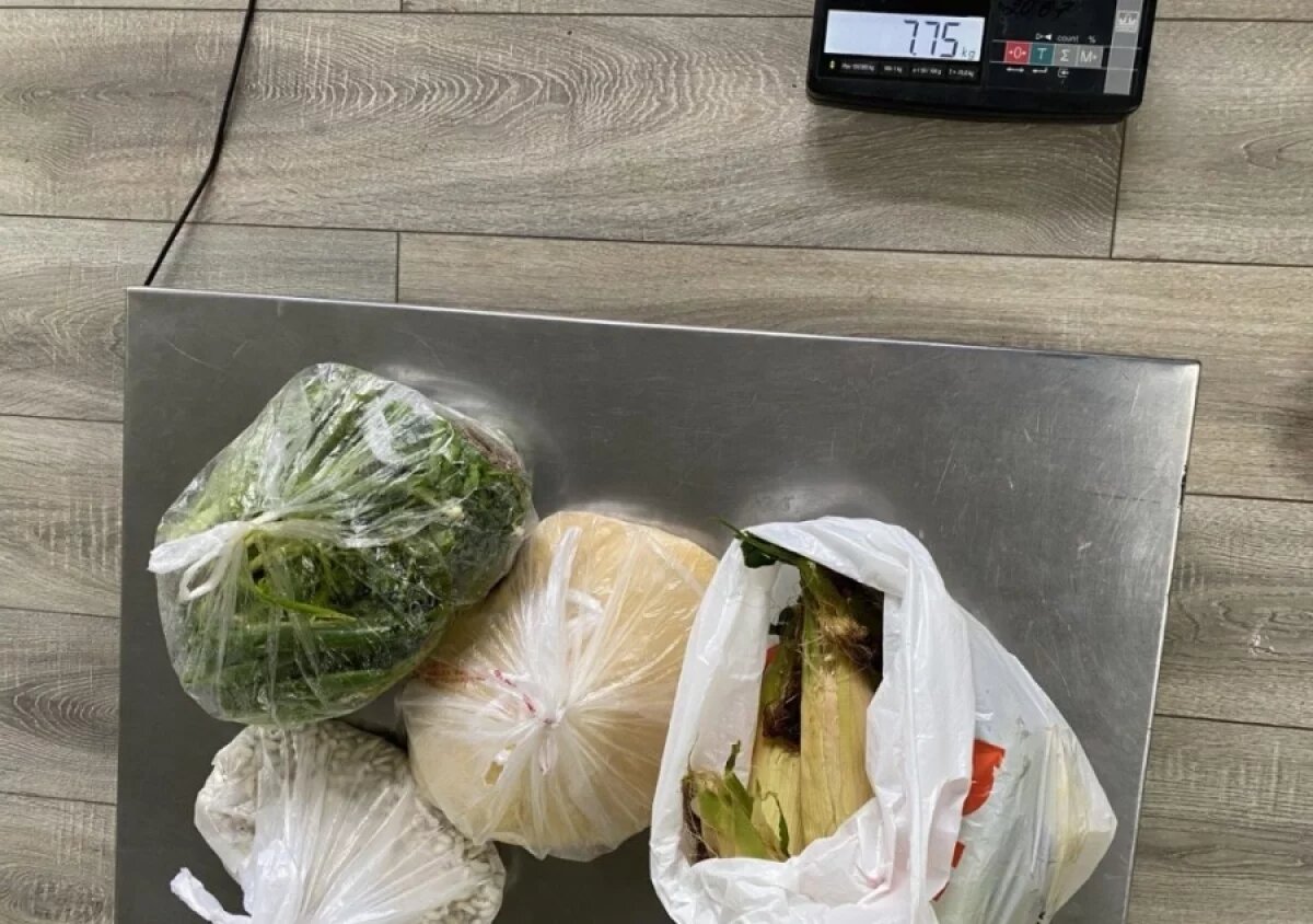    Лук, чеснок и имбирь из Китая не пропустили в Хабаровск по реке Амур