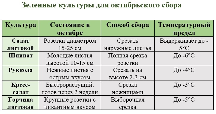 Таблица для наглядности