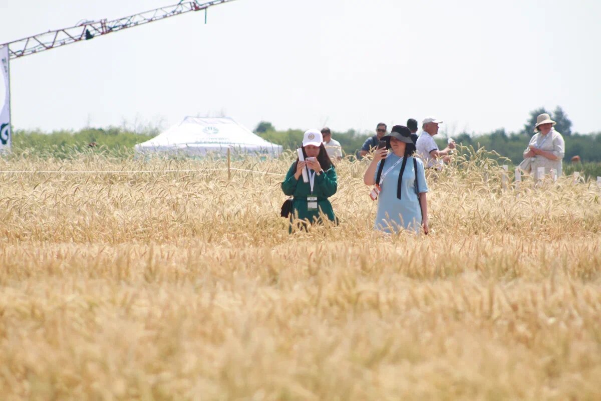 Автор фото: Павел Хацаюк / ИД «Вечерняя Казань»