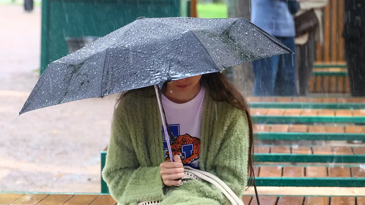    Погода в Москве.