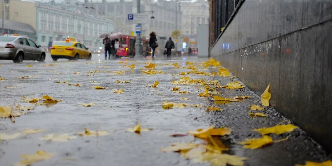 Никто не знает как правильно. Глава-3. Осень по-московски.