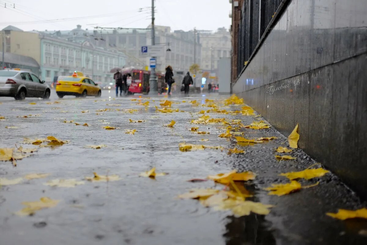 Источник Яндекс картинки