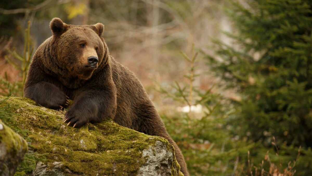    Фото: Canon Boy/Shutterstock/Fotodom