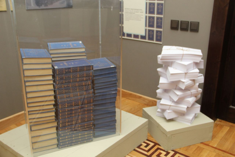    Права на велосипед писателя Толстого поразили спикера Дрейзис в ПетрозаводскеНадежда Дрейзис / ВК