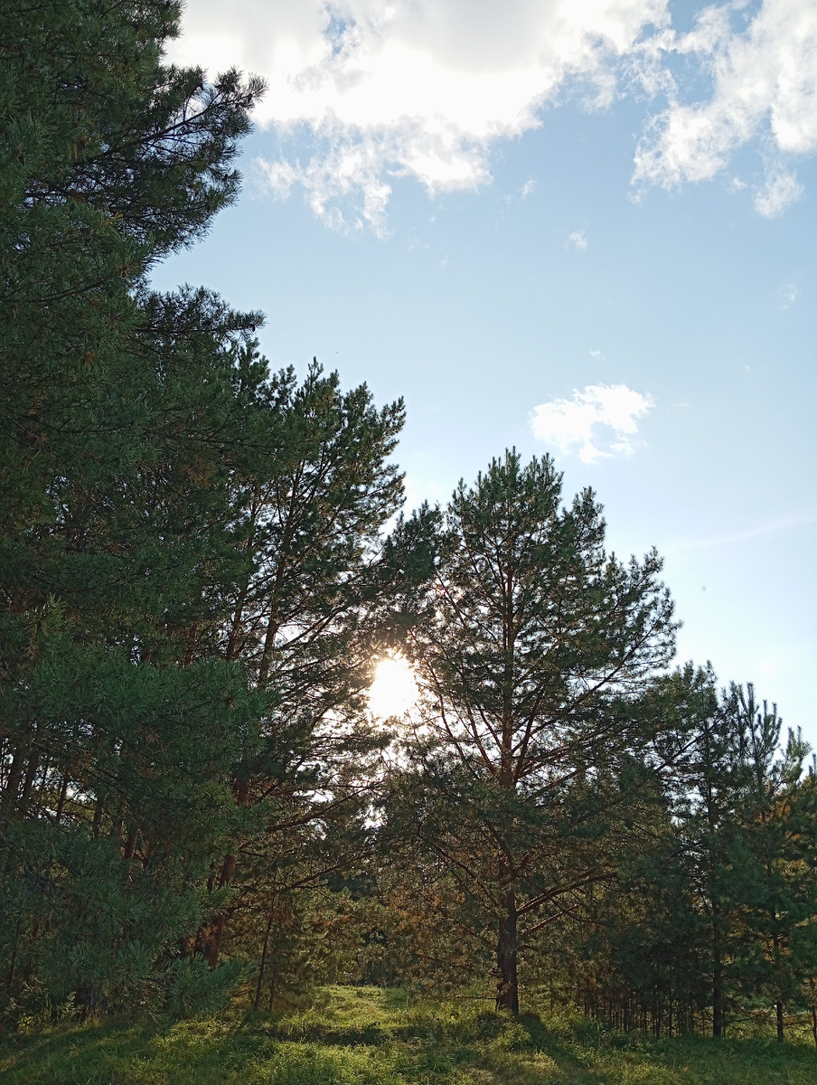 Было так недавно, а кажется давным-давно. 