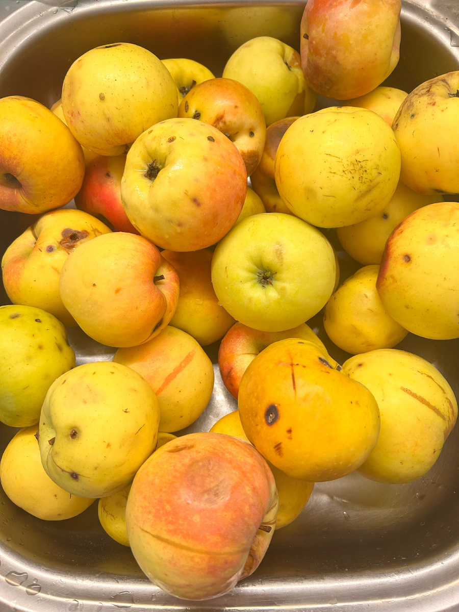 Делала повидло из яблок