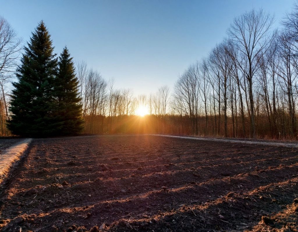    Фото: Шедеврум Редактор