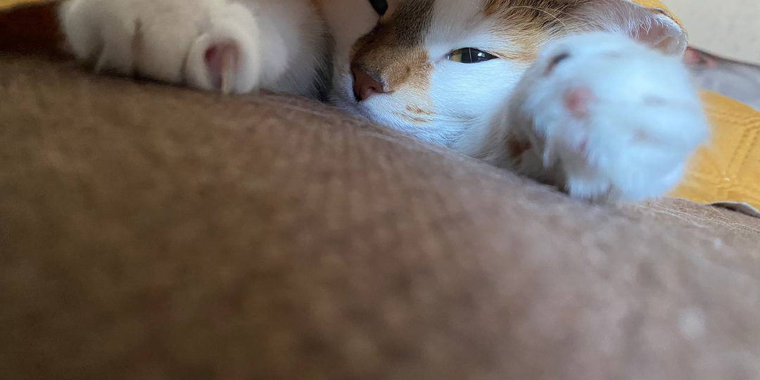 Лучшее средство от усталости, рассеянности и даже тревоги!