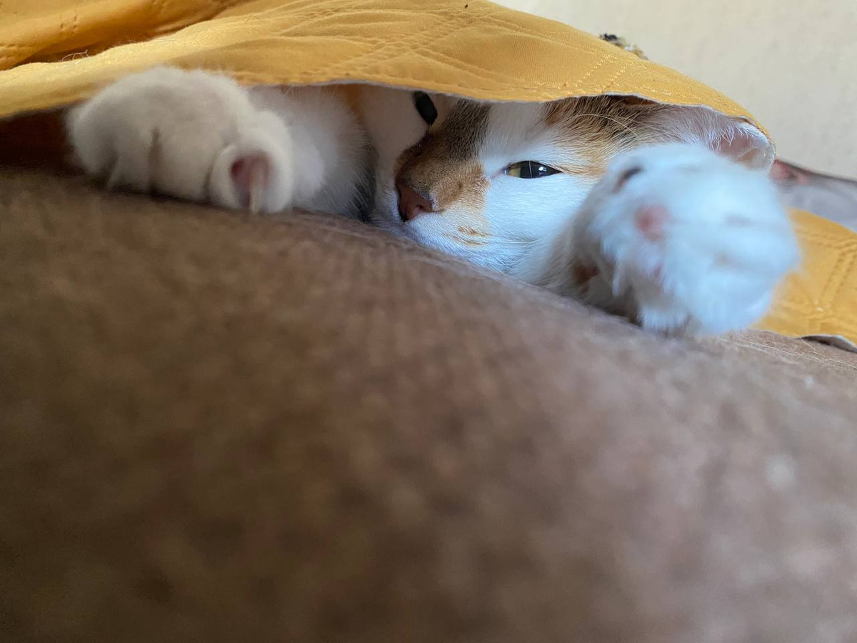 Всем привет в этом чатике