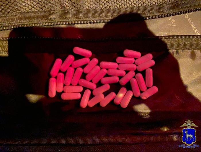    ФОТО: ГУ МВД по Самарской области