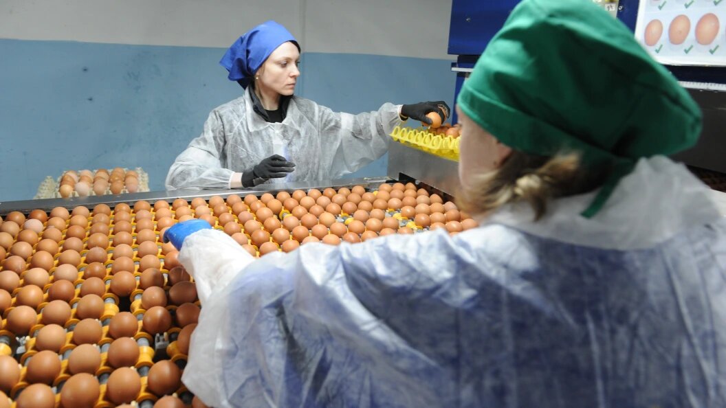    Фото: Vadim Akhmetov/Globallookpress