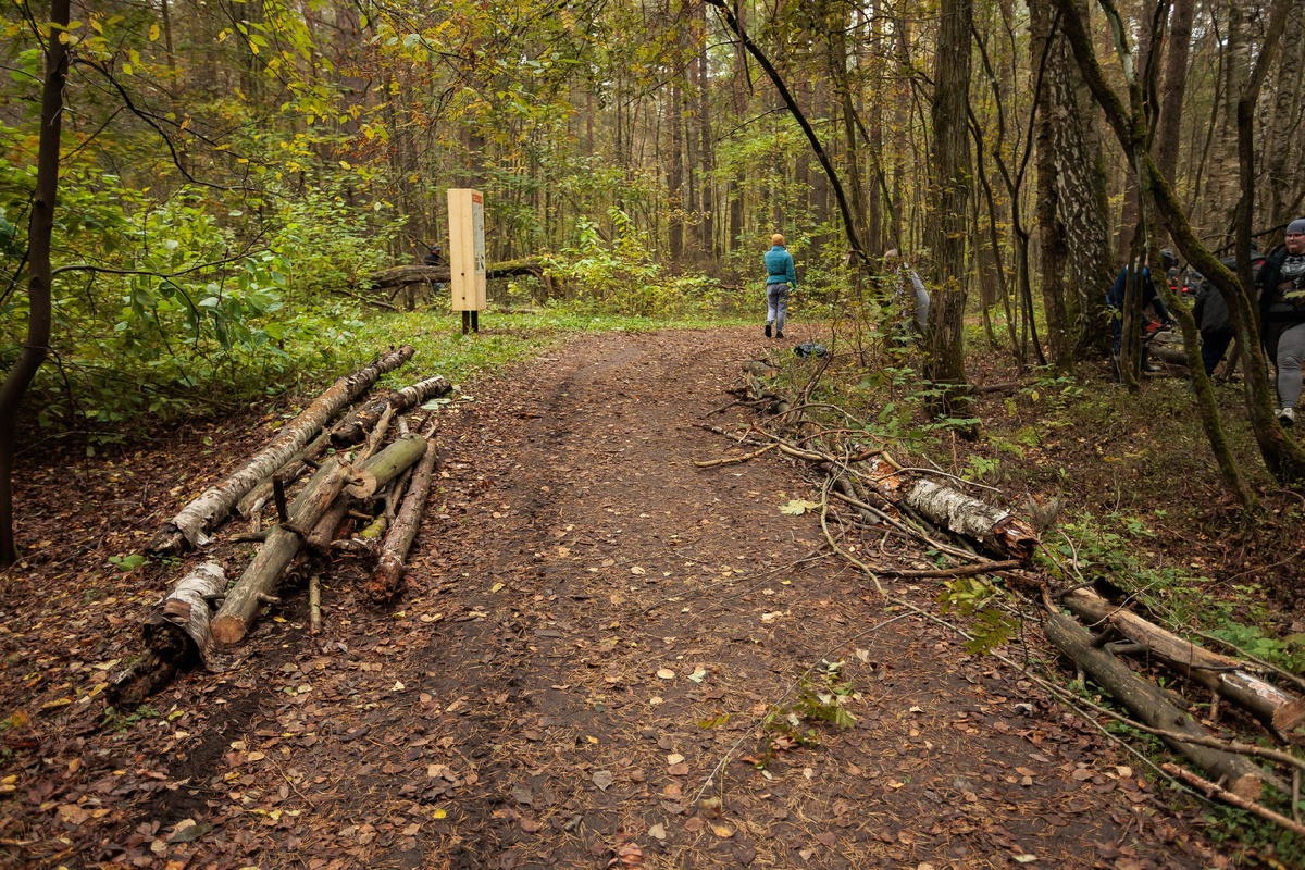 Одна из дорожек заказника